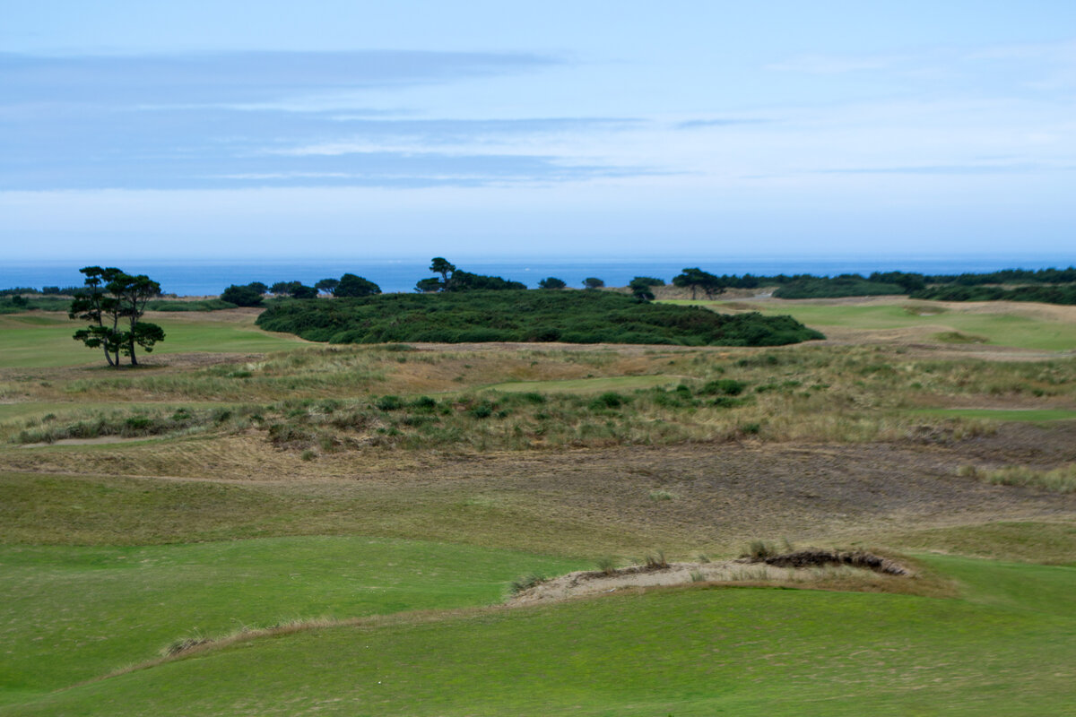 Bandon Dunes Golf Resort dunes and coastline