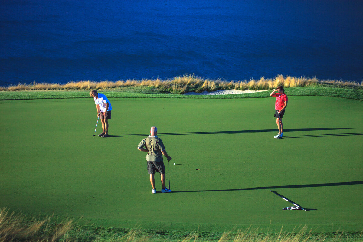Tobiano